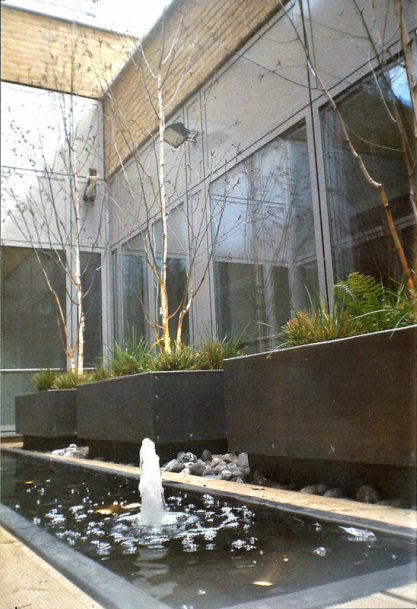 Water feature and planters in doctors surgery